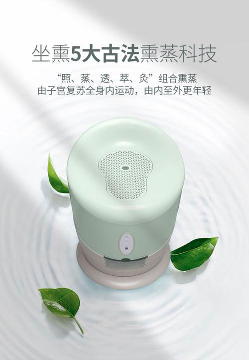 艾灸宮寒調(diào)理儀